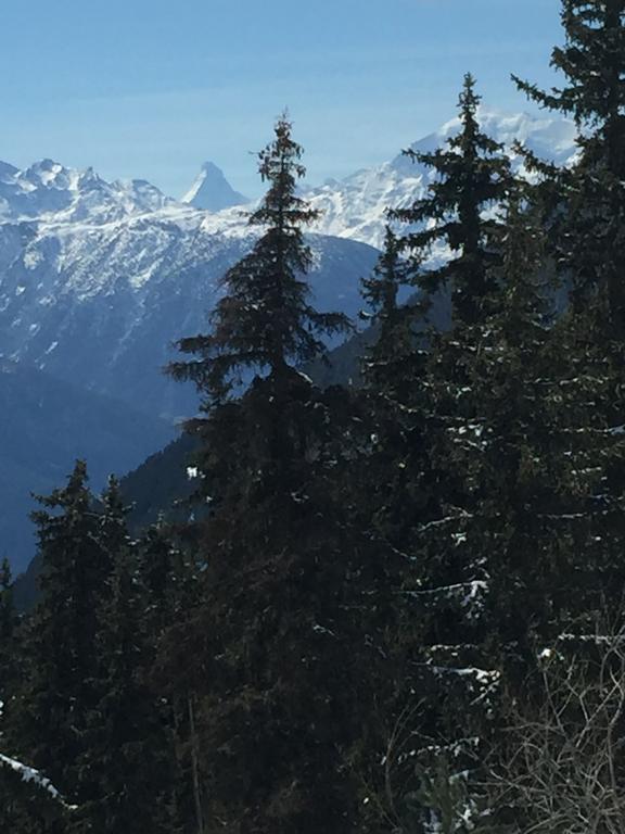 Haus Brunnen Lägenhet Riederalp Exteriör bild